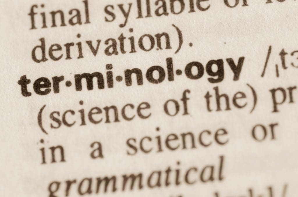 Dictionary definition of word terminology
